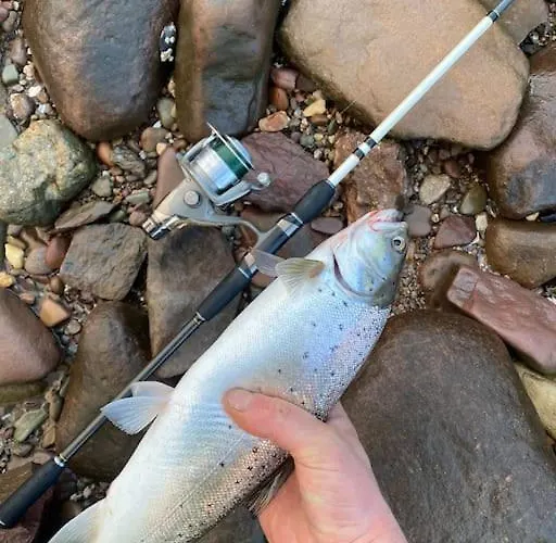 Casa de Férias Hilltop